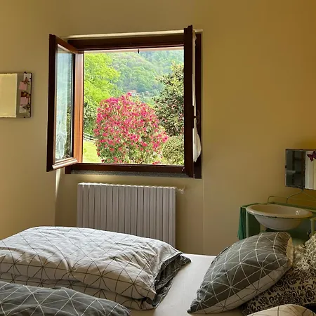 Bed & Breakfast Il Picchio 3*