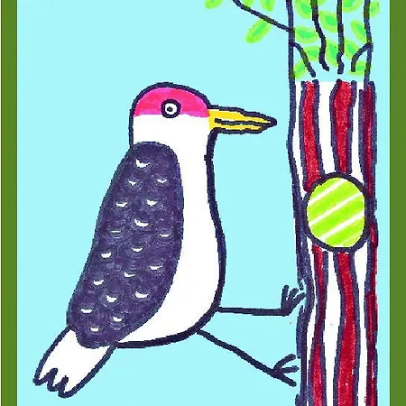 Bed & Breakfast Il Picchio Mergozzo