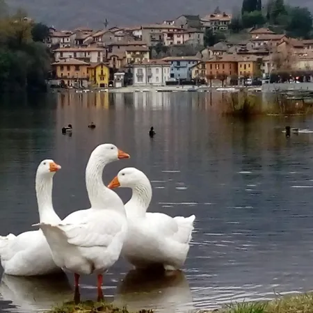 Bed & Breakfast Il Picchio 3*