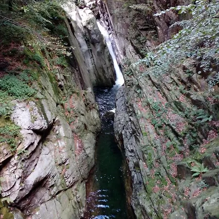 Bed & Breakfast Il Picchio