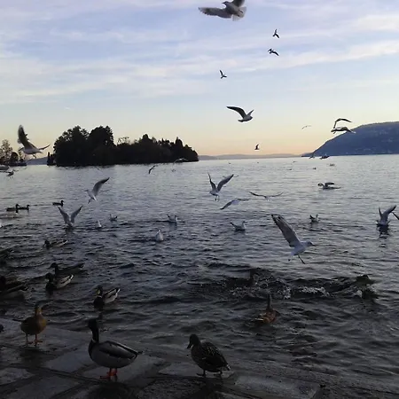 Bed & Breakfast Il Picchio