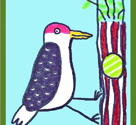 Bed & Breakfast Il Picchio Mergozzo