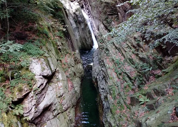 Bed & Breakfast Il Picchio