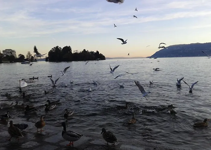 Bed & Breakfast Il Picchio